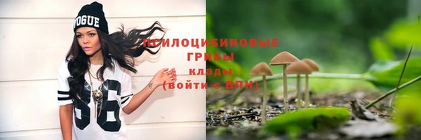 mdpv Липки