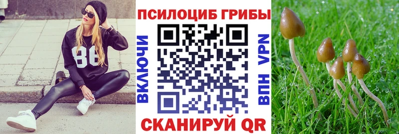 купить наркотик  Чулым  omg онион  Псилоцибиновые грибы Magic Shrooms 